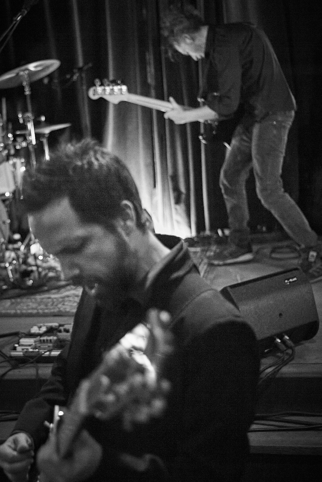 Noblesse Paard Den Haag.jpg